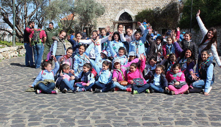 scout7